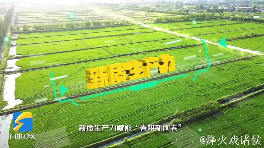 各地因地制宜加快培育壮大新质生产力 各地因地制宜加快培育壮大新质生产力